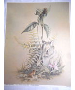 Lithograph Print By Harry J Moeller No 743 MIXED EMOTIONS (Rabbit/Toad  ... - £10.45 GBP