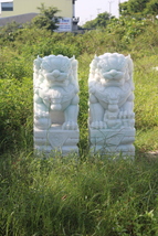 White marble Pair of Shishi Guardian Lions Foodogs Sculpture Hand Carved 31″ - £3,898.92 GBP