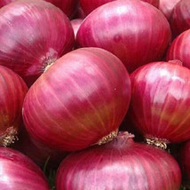 Red Grano Onion Seeds 200 Seeds  - £7.87 GBP