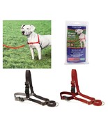 Dog Walk Training Harness High Quality Nylon Puppy Trainer 2 Colors to C... - £29.37 GBP