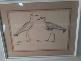 Old Print of Black Sandpipers, Old English Style, Hedgerow House, N.Y. - £21.06 GBP