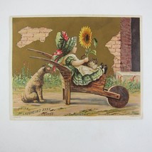 Victorian Trade Card LARGE McLaughlins Coffee Girl Sunflower Dog Wheelba... - £19.92 GBP