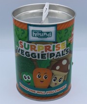 Outward Hound - Veggie Pals - Surprise Dog Toy - Random Toy - £4.72 GBP