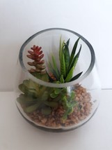 New Glass Potted Succulent Artificial Plant with pebbles - £11.68 GBP