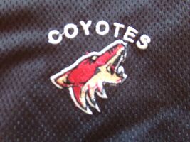 "Arizona Coyotes" Black NHL Coolest Sport Stretch Pocket Shorts Men's (5... - $17.08