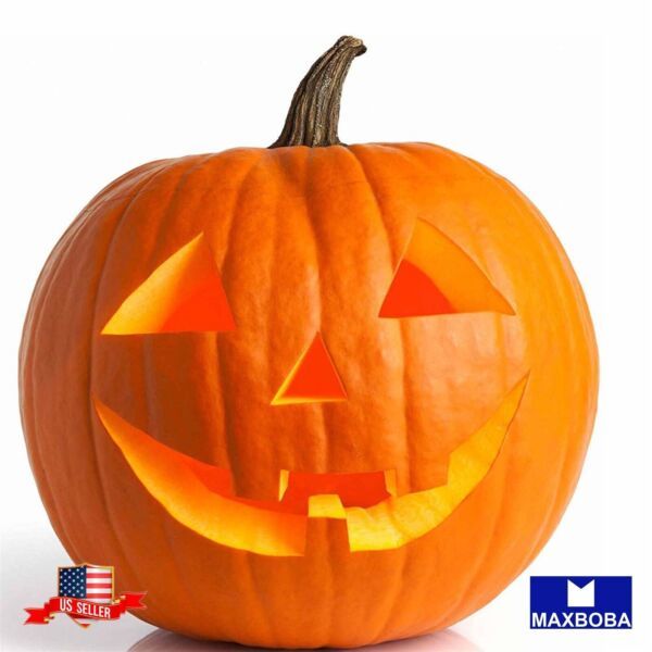 Fresh Pumpkin Seeds Jack O Lantern Nongmo Heirloom Vegetable Fresh Garde... - $3.58