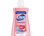 DIAL COMPLETE LIQUID HAND SOAP WASH, SWEET WATERMELON, 11 FL. OZ. PUMP - £5.58 GBP