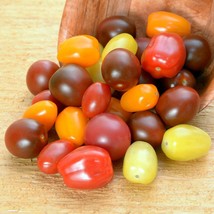 Tomato Seeds Rainbow Cherry Mix Tomato 20 Vegetable Seeds Fast Ship Fresh USA SE - $15.28