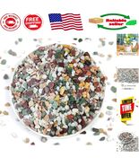 Natural 1/5 Inch Pebbles - 2LB Eco-Friendly Stones for Plants and Garden... - $26.56 CAD