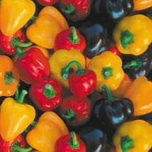 New Fresh Seeds Pepper Baby Mini Bell Mix - $16.98