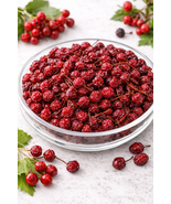 Viburnum Berries dried | Viburnum opulus | Herbal |  Harvested, Premium ... - $22.00