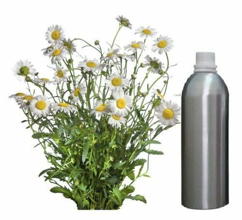 Primary image for Essential Oil Chamomile 100% Pure Natural Therapeutic Aromatherapy 30ml - 500 ml