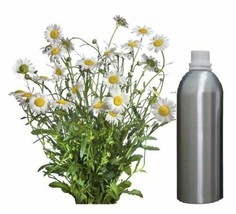 Essential Oil Chamomile 100% Pure Natural Therapeutic Aromatherapy 30ml ... - £69.00 GBP+