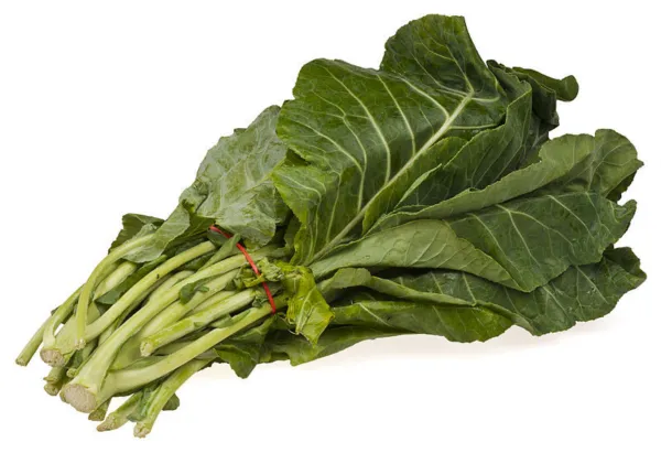 1000 Premier Kale Early Hanover Brassica Oleracea Greens Vegetable Seeds Fresh G - £7.19 GBP