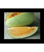 Missouri Heirloom Yellow Flesh 7 Seeds Rare Watermelon Heirloom good she... - $55.36 MXN