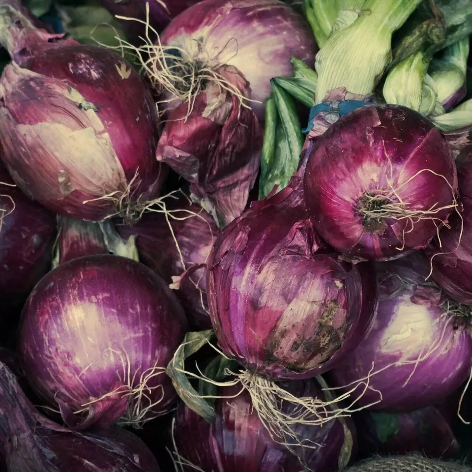 KingStore 250 Ruby Red Onion Non-Gmo Long Day Variety Sizes Planting Seeds Item image 2
