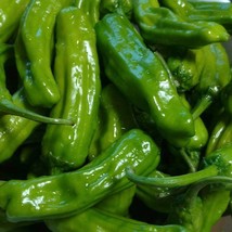 Fresh Seeds Italian Pepperoncini Pepper 25 Seeds - $9.68