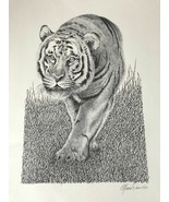 Marvin Davis Wildlife Sketch Tiger Animals Unframed 17x22 10/5/75 - £23.35 GBP