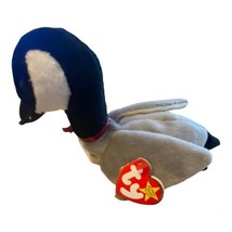 TY Original Beanie Baby - LOOSY the Canadian Goose birthday 3/29 - £3.96 GBP