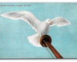 A British Columbia Sea Gull Canada DB Postcard N22 - $3.91