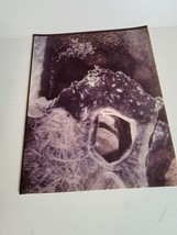 Vintage 1970s Photograph Photo Picture Color VTG Oregon Ice Formation - £14.21 GBP