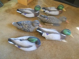 Great 6 Pak HIGDON Duck Decoys from Ducks Unlimited...New ??? - $65.92