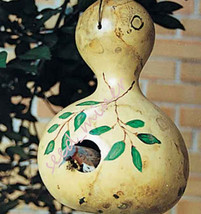 Gourds Giant Birdhouse Large Ornamental Organic Seeds - $9.98