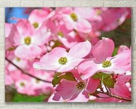 Pink Dogwood Tree, Abstract Floral Art, Fine Art Photo on Metal, Canvas or Paper - £24.62 GBP+
