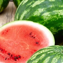 Cal Sweet Watermelon Heirloom Watermelon Garden Bulk Seeds - $172.69 MXN