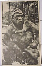&quot;Susie&quot; World&#39;s Only Trained Gorilla Postcard - $4.95