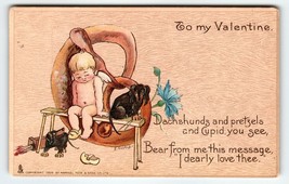 Valentines Day Postcard Tuck E Curtis Boy Pretzel Dachshund Dogs Puppy 1906 - £23.08 GBP
