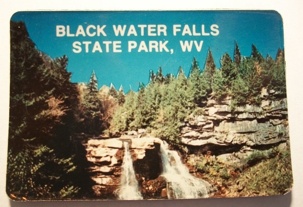 Blackwater Falls State Park WV Medium Postcard Magnet - $4.00