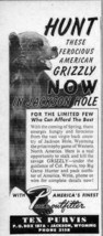 1951 Print Ad Hunt American Grizzly Bears Jackson Hole,WY Tex Purvis - £6.75 GBP