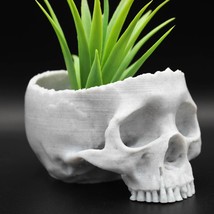 Real Looking Skull Succulent Planter | Macabre Elegance for Your Greenery - £10.45 GBP
