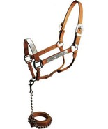 Leather Show Halter w/ Silver Accents and Matching Lead - $64.64+