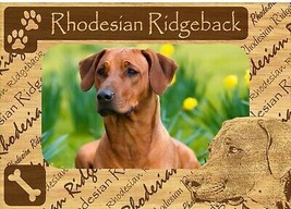 Rhodesian Ridgeback w Paws Engraved Wood Picture Frame Magnet - £11.14 GBP