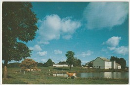 BARNESBORO PA Dairy Farm Vintage Postcard Unposted Ektachrome - $4.90