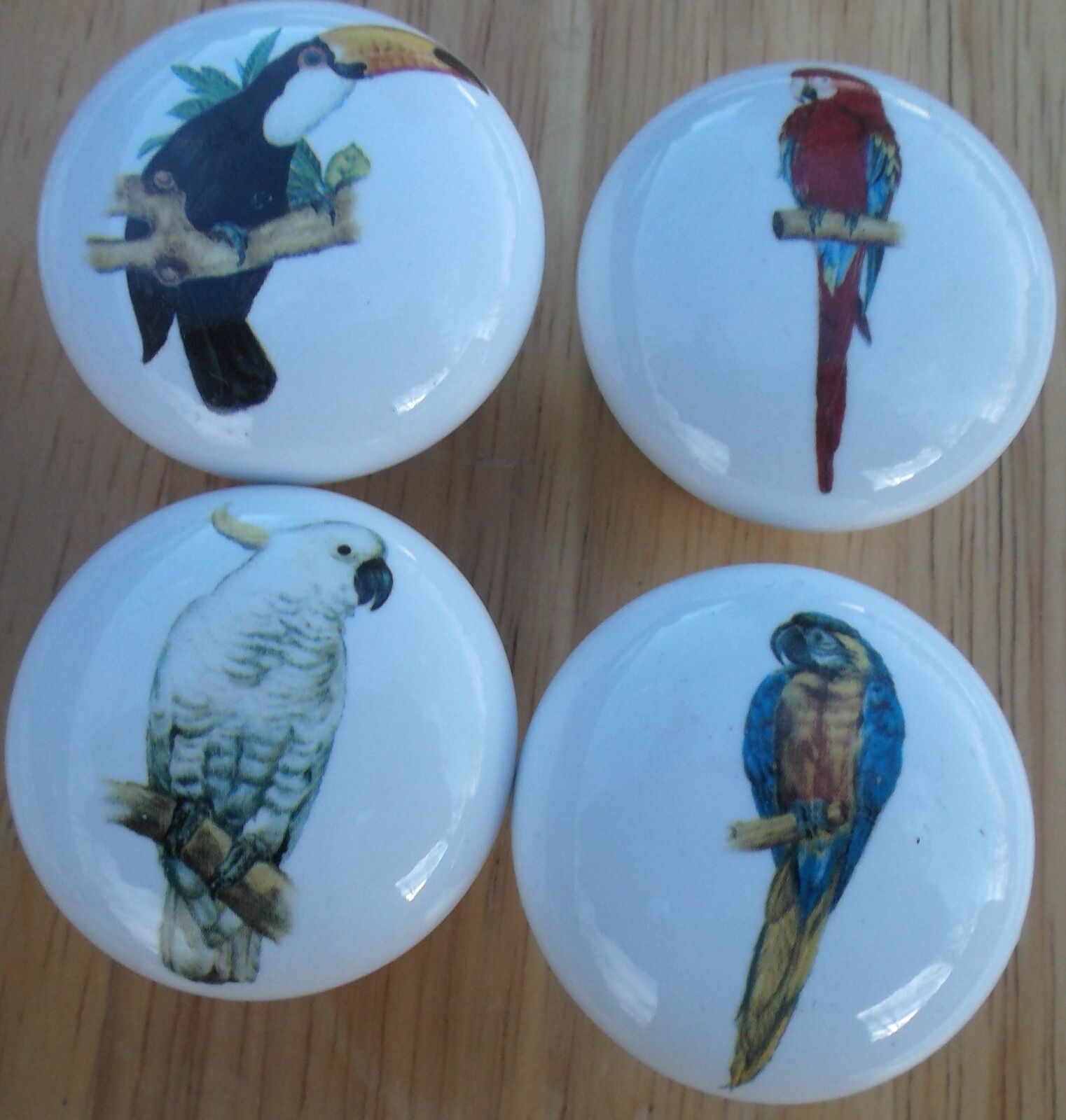 Primary image for Cabinet Knobs W/ Parrot Macaw Cockatoo Exotic Tropical Birds
