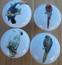 Cabinet Knobs W/ Parrot Macaw Cockatoo Exotic Tropical Birds - $16.83