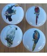 Cabinet Knobs W/ Parrot Macaw Cockatoo Exotic Tropical Birds - €14,61 EUR