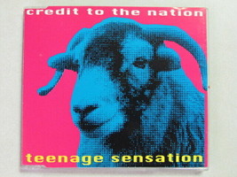 Credit To The Nation Teenage Sensation Cd Electronic Hip Hop Pop Concious Vg Oop - £3.10 GBP