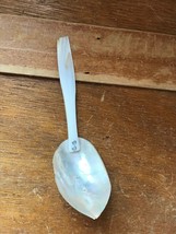 Vintage Small Polished Clam Shell Spoon with Cream Polished Sea Shell Ha... - $9.49