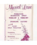1970s Murial Lane Advertisement Decorative Spray For Plants Crafts Broch... - $35.02 CAD