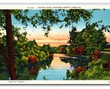 Pigeon River Western North Carolina NC UNP Linen Postcard R25 - $4.90