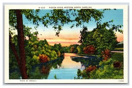 Pigeon River Western North Carolina NC UNP Linen Postcard R25 - £3.85 GBP