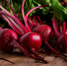 FRESH Ruby Queen Beet Seeds  - £3.00 GBP