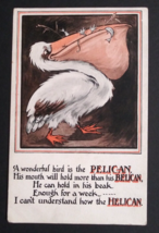 A Wonderful Bird is the Pelican Humor Funny Comic Postcard c1910s England - $9.99