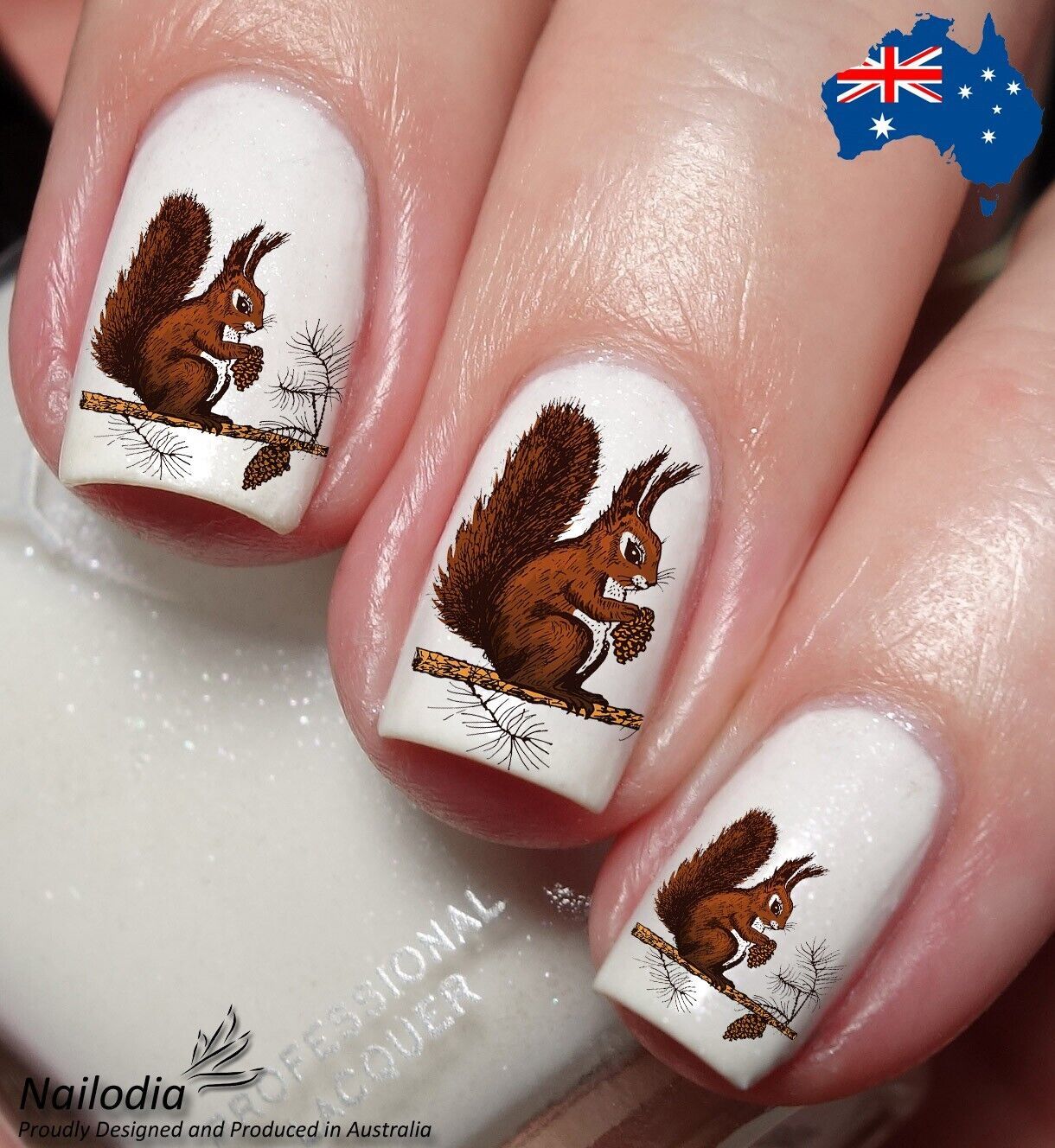 Squirrel &amp; Acorn Nail Art Decal Sticker Water Transfer Slider - $3.99