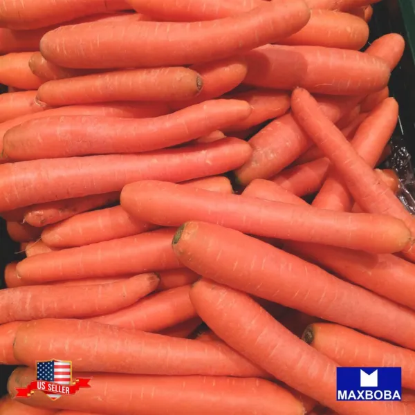 Non-Gmo 600 + Scarlet Nantes Carrot Seeds Heirloom Vegetable - £5.49 GBP