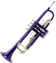 The Standard Sky Trumpet (Skyptr101-Pr). - £216.98 GBP